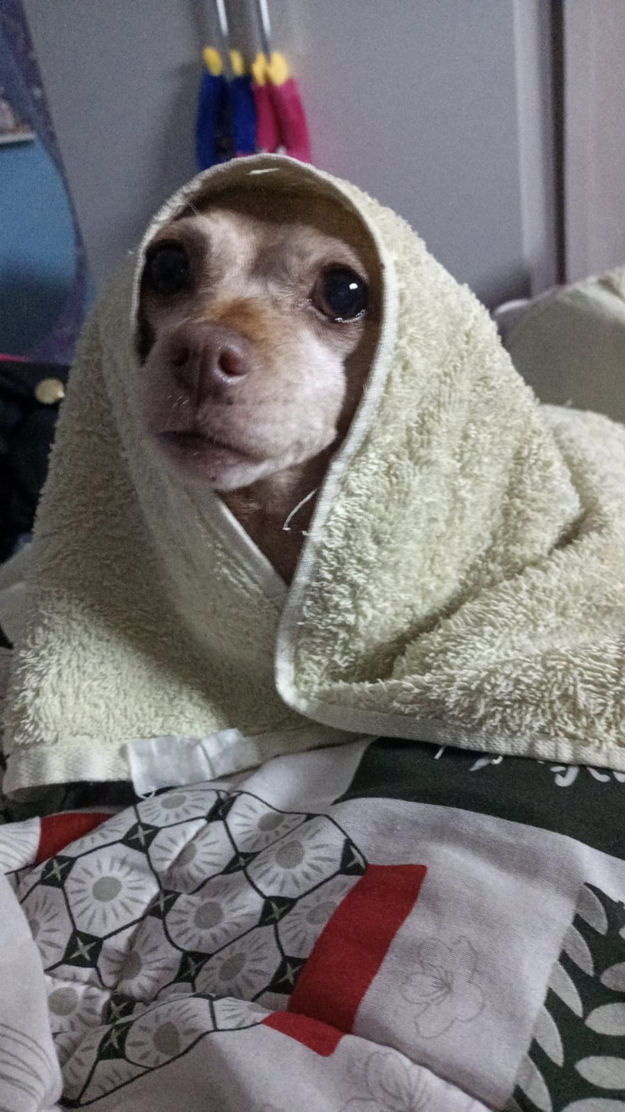 Foi graças a você que eu tive a filinha mais linda que eu poderia ter.